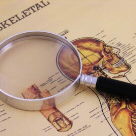 Poster of the skeletal system with a magnifying glass resting on top
